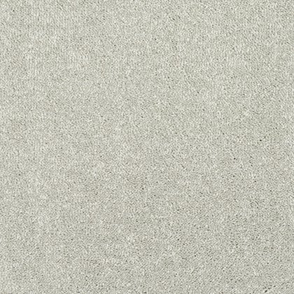 Incredible Chic Carpet in Suede