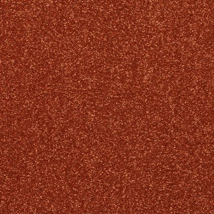 Incredible Chic Carpet in Terracotta