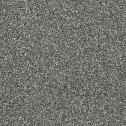 Incredible Chic Carpet in Titanium