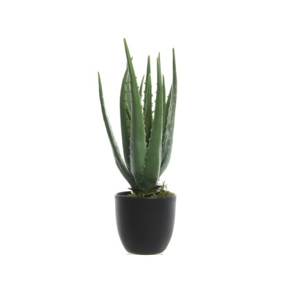 Kaemingk Faux Potted Aloe Vera