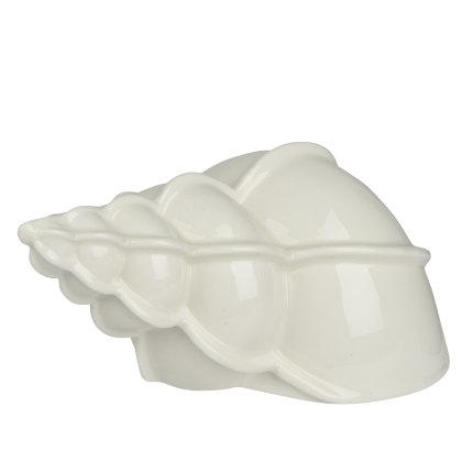 Kaemingk Porcelain Off White Shell