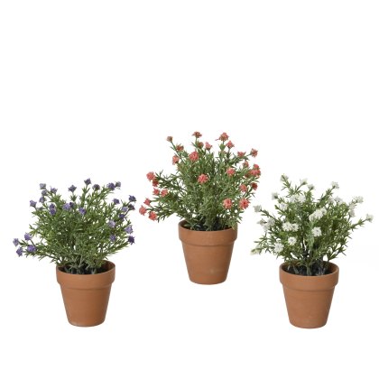 Kaemingk Potted Babysbreath