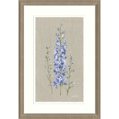 Artko Delphiniums Framed Print