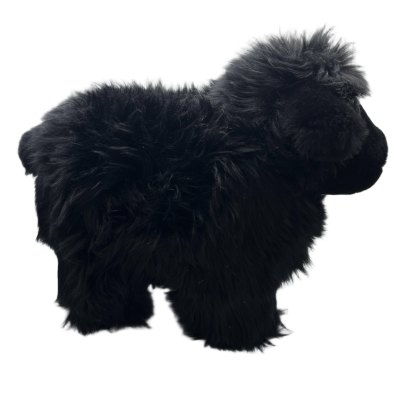 Ashwood Leathers Lucky Sheep Black