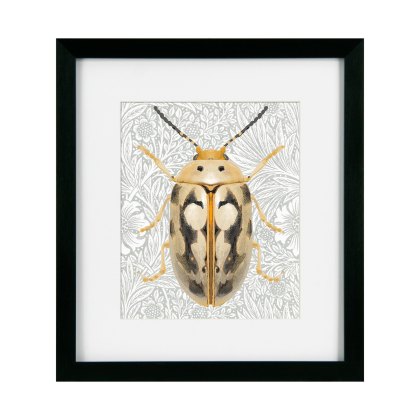 Camelot Beetles & Butterflies III Camelot Beetles & Butterflies III
