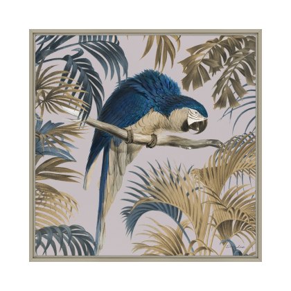 Artko Macaw