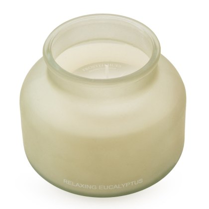 Large Eucalyptus Scented Candle Large Eucalyptus Scented Candle