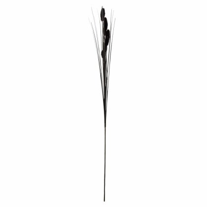 Black Foxtail 73cm Black Foxtail 73cm