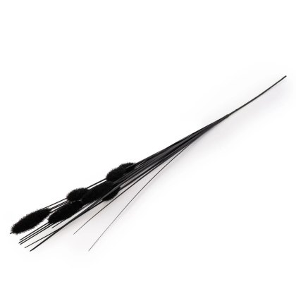 Black Foxtail 73cm Black Foxtail 73cm