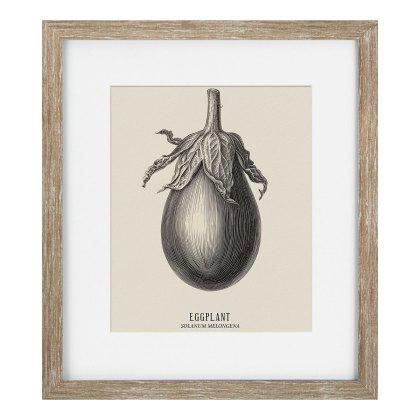 Camelot Vintage Veg Illustration VII Camelot Vintage Veg Illustration VII