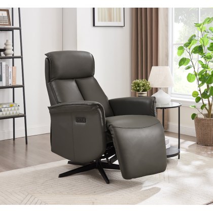 Riya Power Recliner Accent Chair in Ash