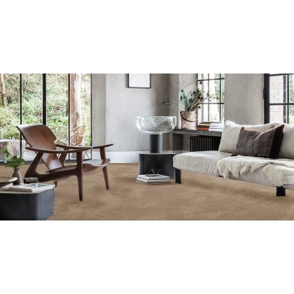 Invictus Aries Carpet in Fudge 39