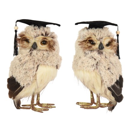 Kaemingk Artificial Graduation Owl Assorted Designs Kaemingk Artificial Graduation Owl Assorted Designs