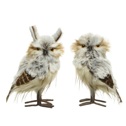 Kaemingk Feathered Owl Assorted Designs Kaemingk Feathered Owl Assorted Designs