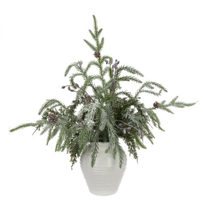 Floralsilk Sparkle Pine In Pot