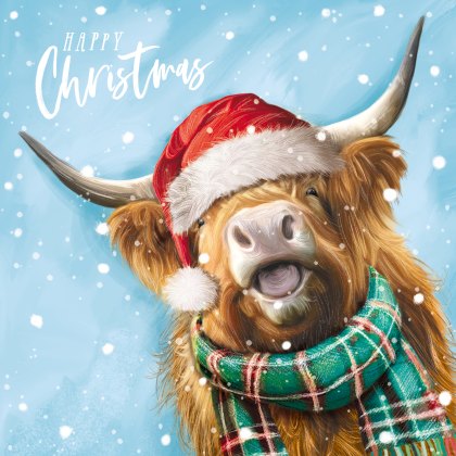 The Dark Room Christmas Highland Cows Pack of 16 Cards The Dark Room Christmas Highland Cows Pack of 16 Cards
