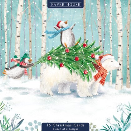 The Dark Room Christmas Polar Bears Pack of 16 Cards