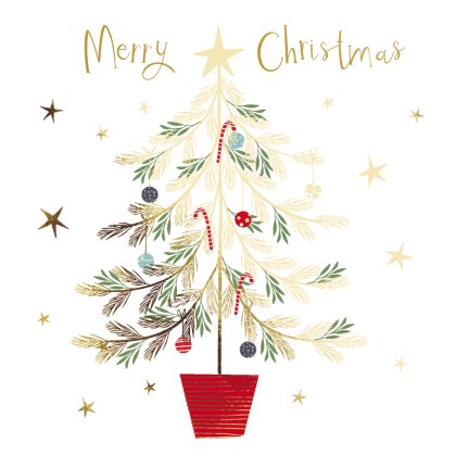 Paper House Christmas Tree Pack of 5 Cards Paper House Christmas Tree Pack of 5 Cards