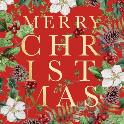 Paper House Christmas Wreath Pack of 5 Cards Paper House Christmas Wreath Pack of 5 Cards