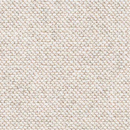 Natural Flair Carpet in Driftwood