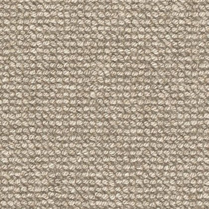 Natural Flair Carpet in Dune Barnacle