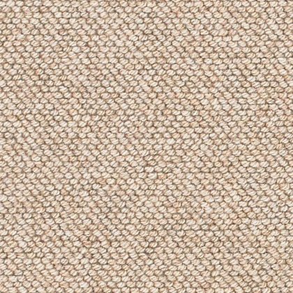 Natural Flair Carpet in Strand Barnacle