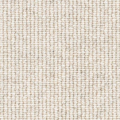 Natural Flair Carpet in Strand Driftwood