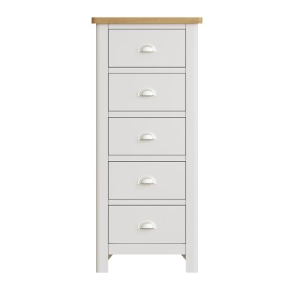 Hastings Editions 5 Drawer Narrow Chest in Stone