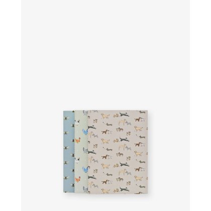 Sophie Allport Set of 3 A6 Notebook Set