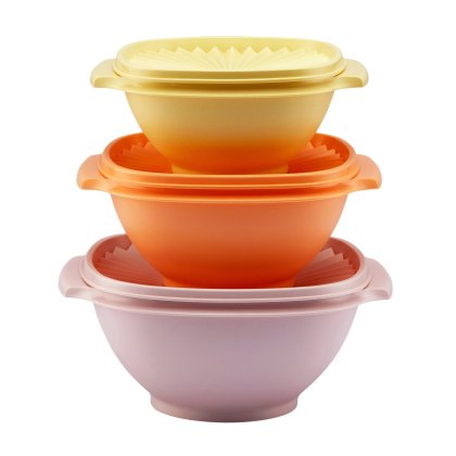 Tupperware Small Bowl Set of 3 Tupperware Small Bowl Set of 3
