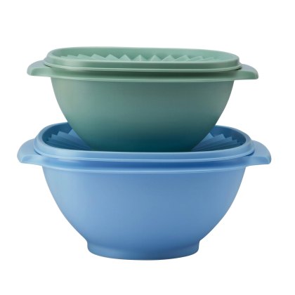 Tupperware Heritage Bowl Set of 2 Tupperware Heritage Bowl Set of 2
