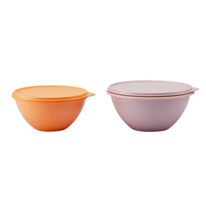 Tupperware Wonder Bowl Set of 2 Tupperware Wonder Bowl Set of 2