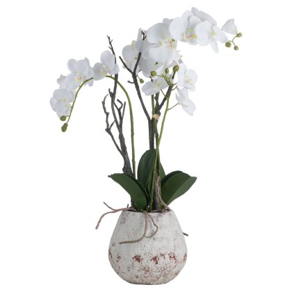 Hill Interiors White Orchid In Stone Pot