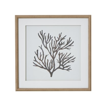 Hill Interiors Reef Coral Art Mounted In Beaded Frame Hill Interiors Reef Coral Art Mounted In Beaded Frame