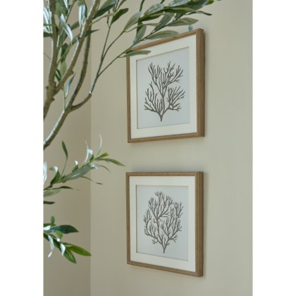 Hill Interiors Reef Coral Art Mounted In Beaded Frame Hill Interiors Reef Coral Art Mounted In Beaded Frame