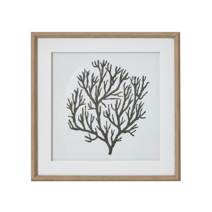 Hill Interiors Atol Coral Art Mounted In Beaded Frame Hill Interiors Atol Coral Art Mounted In Beaded Frame