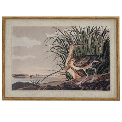 Hill Interiors Flora & Fauna Curlews In Beaded Frame Hill Interiors Flora & Fauna Curlews In Beaded Frame