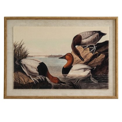 Hill Interiors Flora & Fauna Pochards In Beaded Frame Hill Interiors Flora & Fauna Pochards In Beaded Frame