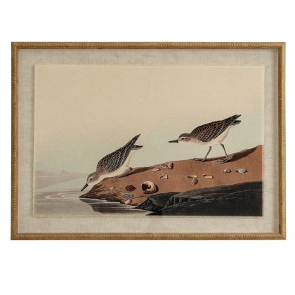 Hill Interiors Flora & Fauna Stints In Beaded Frame Hill Interiors Flora & Fauna Stints In Beaded Frame