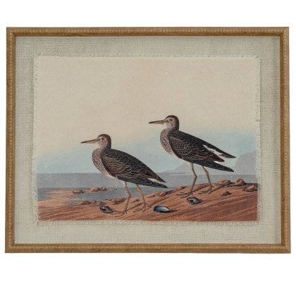 Hill Interiors Flora & Fauna Sandpiper In Beaded Frame Hill Interiors Flora & Fauna Sandpiper In Beaded Frame