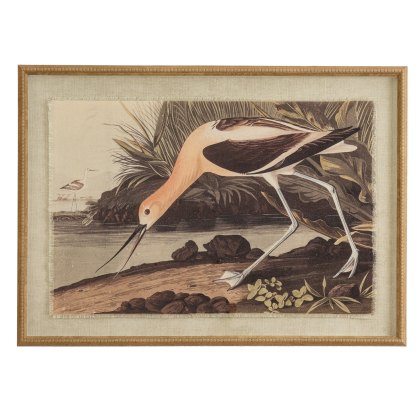 Hill Interiors Flora & Fauna Avocet In Beaded Frame Hill Interiors Flora & Fauna Avocet In Beaded Frame