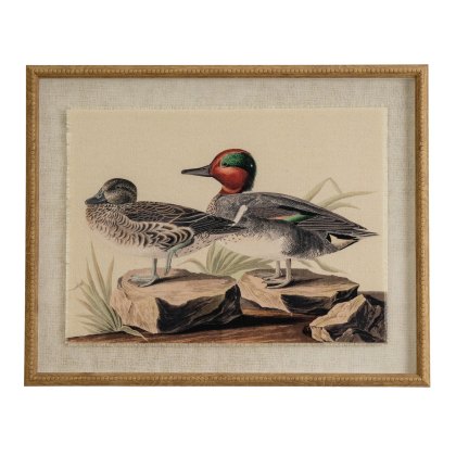Hill Interiors Flora & Fauna Teals On Linen In Beaded Frame Hill Interiors Flora & Fauna Teals On Linen In Beaded Frame