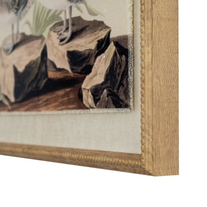 Hill Interiors Flora & Fauna Teals On Linen In Beaded Frame Hill Interiors Flora & Fauna Teals On Linen In Beaded Frame