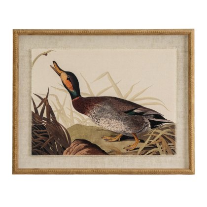 Hill Interiors Flora & Fauna Duck On Linen In Beaded Frame Hill Interiors Flora & Fauna Duck On Linen In Beaded Frame