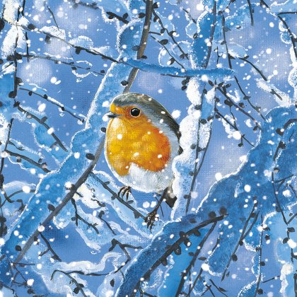 Otter House Winter Robins Xmas Cards Bumper Box Otter House Winter Robins Xmas Cards Bumper Box