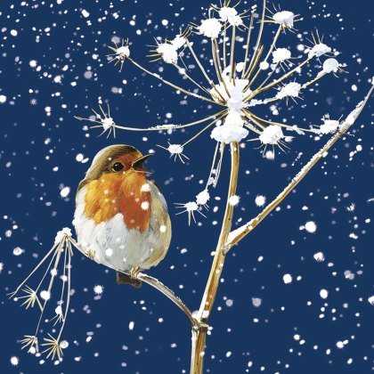 Otter House Winter Robins Xmas Cards Bumper Box Otter House Winter Robins Xmas Cards Bumper Box