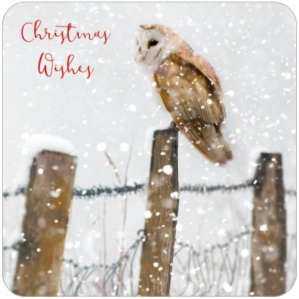 Otter House RSPB Watching & Waiting Large Xmas Cards Otter House RSPB Watching & Waiting Large Xmas Cards