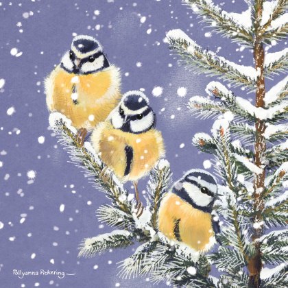 Otter House RSPB Trio of Blue Tits Small Xmas Cards Otter House RSPB Trio of Blue Tits Small Xmas Cards