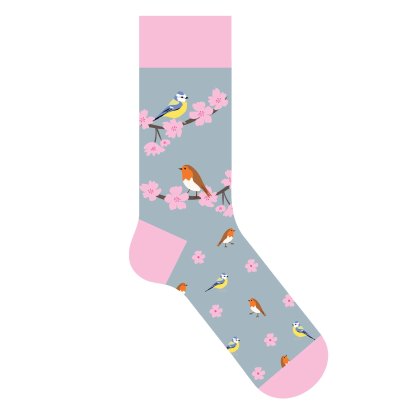 Otter House Birds & Blossom Socks