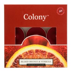 Colony Blood Orange & Verbena Box of 9 Tealights Colony Blood Orange & Verbena Box of 9 Tealights